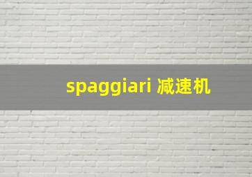 spaggiari 减速机